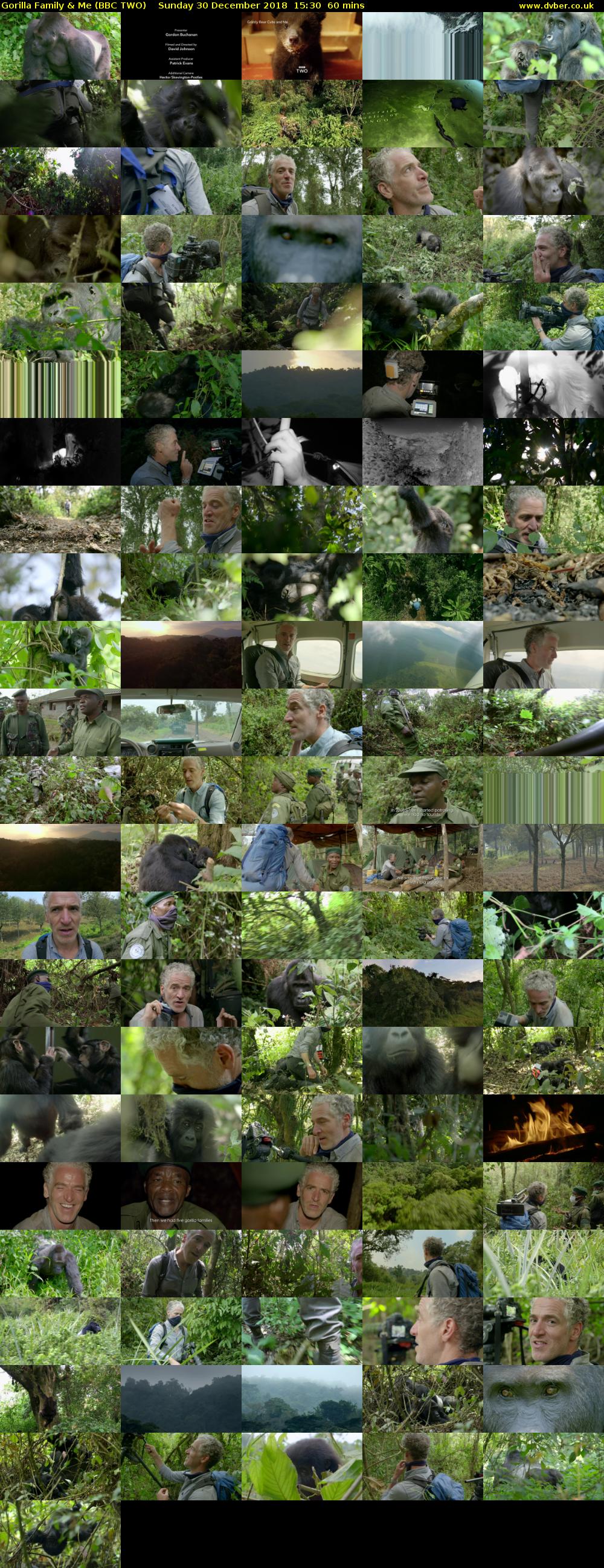 Gorilla Family & Me (BBC TWO) Sunday 30 December 2018 15:30 - 16:30