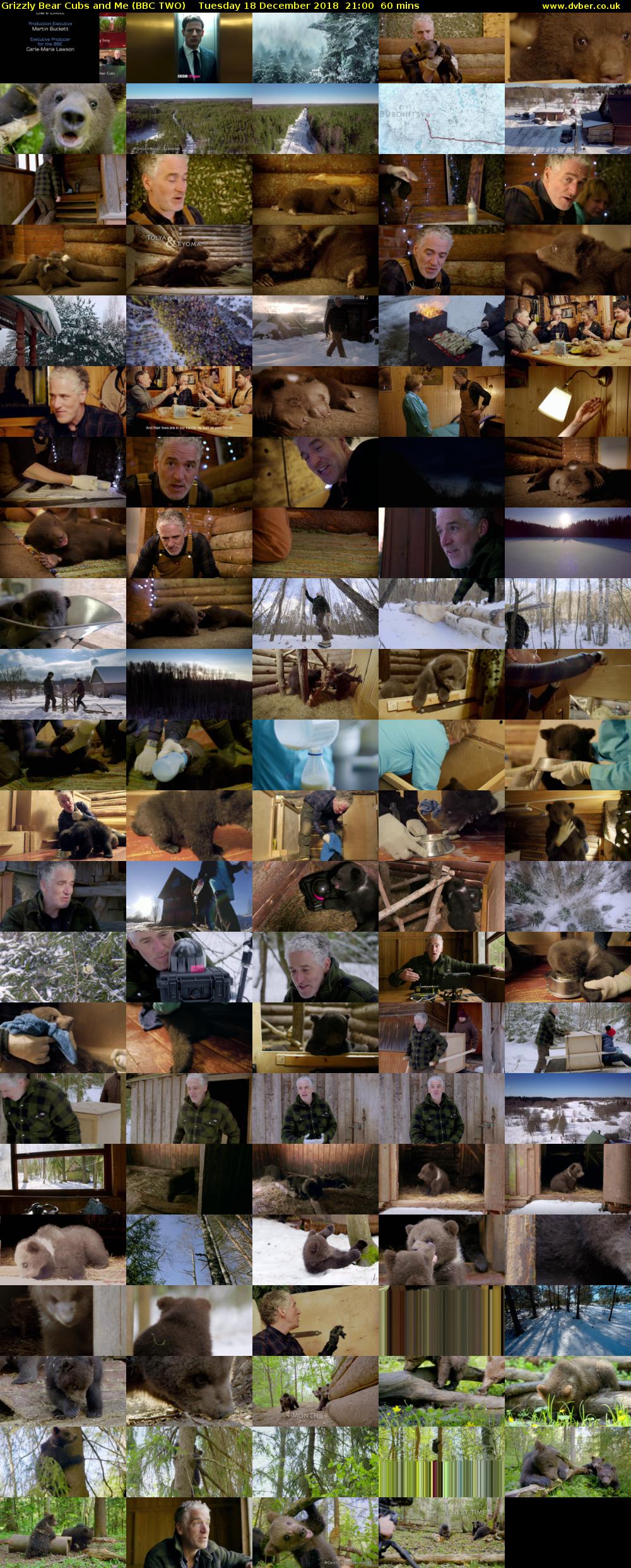 Grizzly Bear Cubs and Me (BBC TWO) Tuesday 18 December 2018 21:00 - 22:00