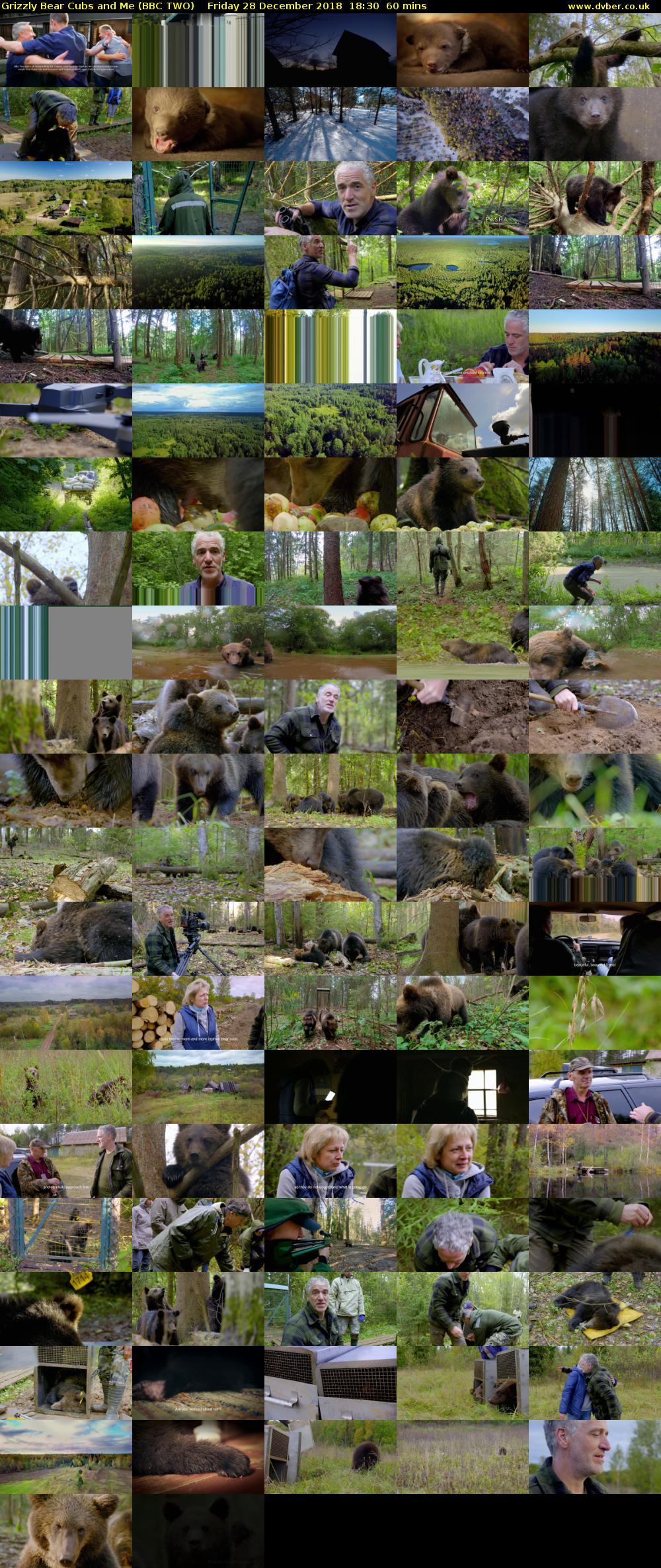 Grizzly Bear Cubs and Me (BBC TWO) Friday 28 December 2018 18:30 - 19:30