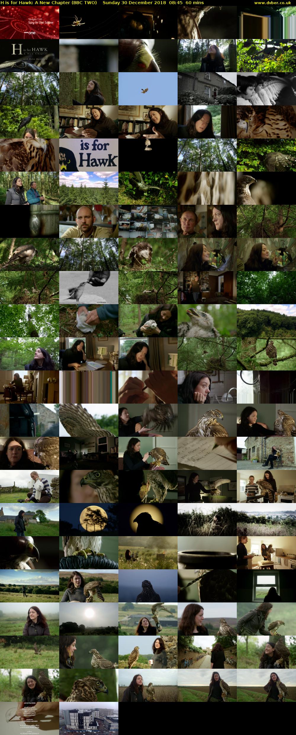 H is for Hawk: A New Chapter (BBC TWO) Sunday 30 December 2018 08:45 - 09:45