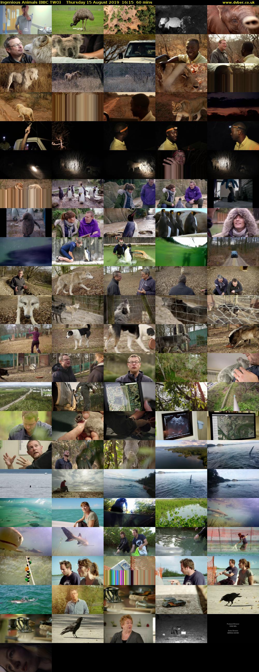 Ingenious Animals (BBC TWO) Thursday 15 August 2019 16:15 - 17:15