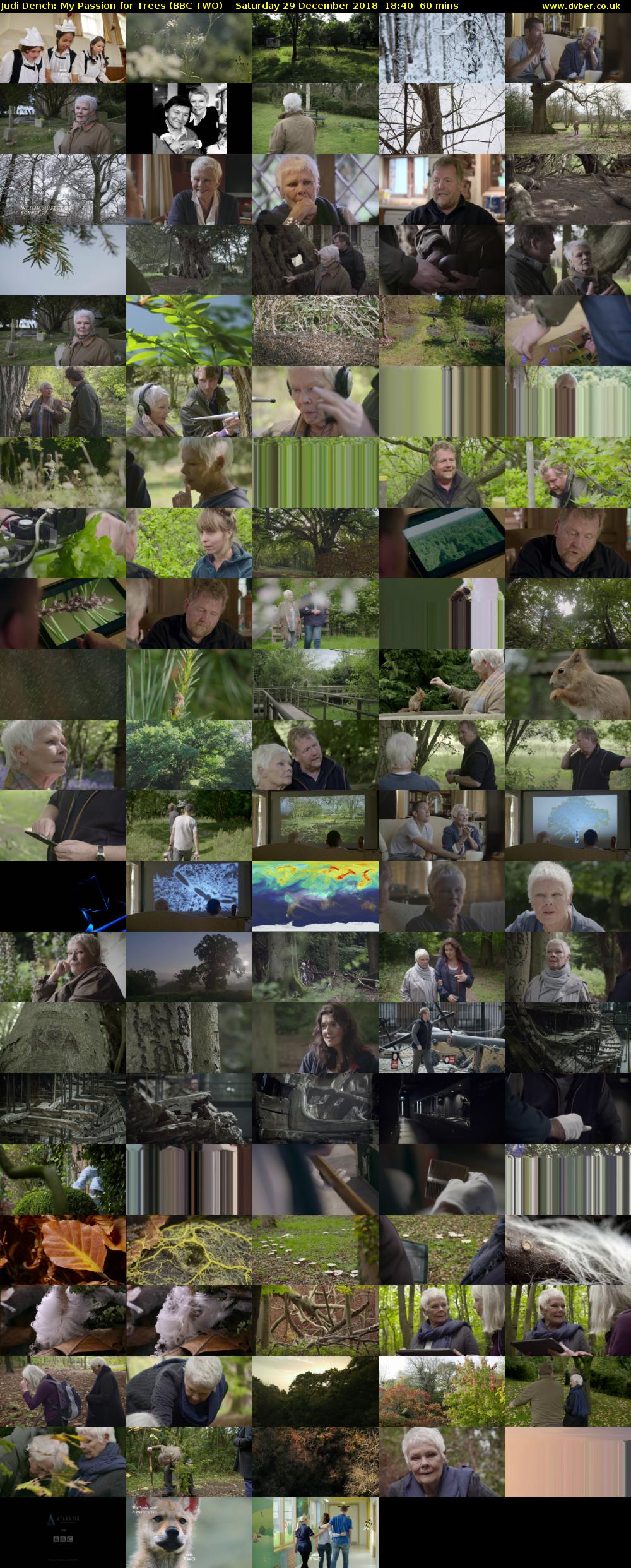 Judi Dench: My Passion for Trees (BBC TWO) Saturday 29 December 2018 18:40 - 19:40