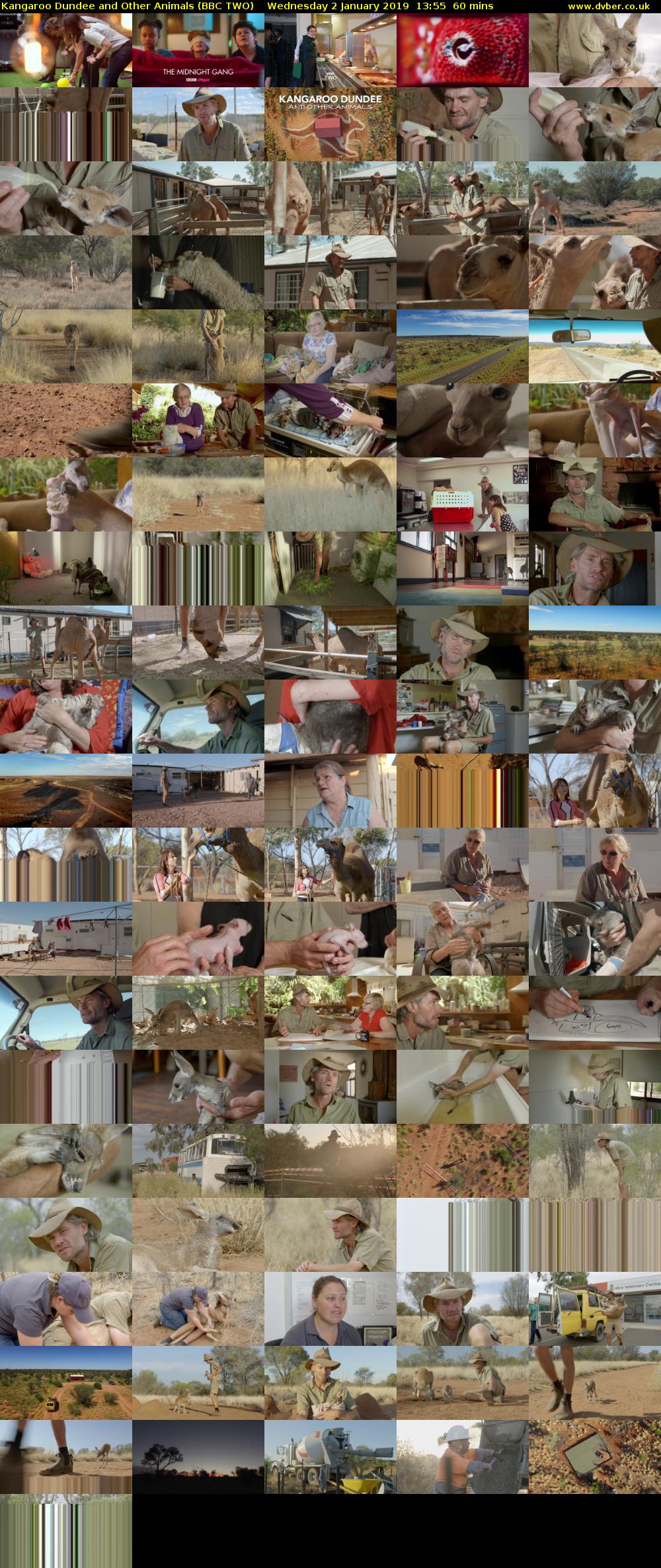 Kangaroo Dundee and Other Animals (BBC TWO) Wednesday 2 January 2019 13:55 - 14:55