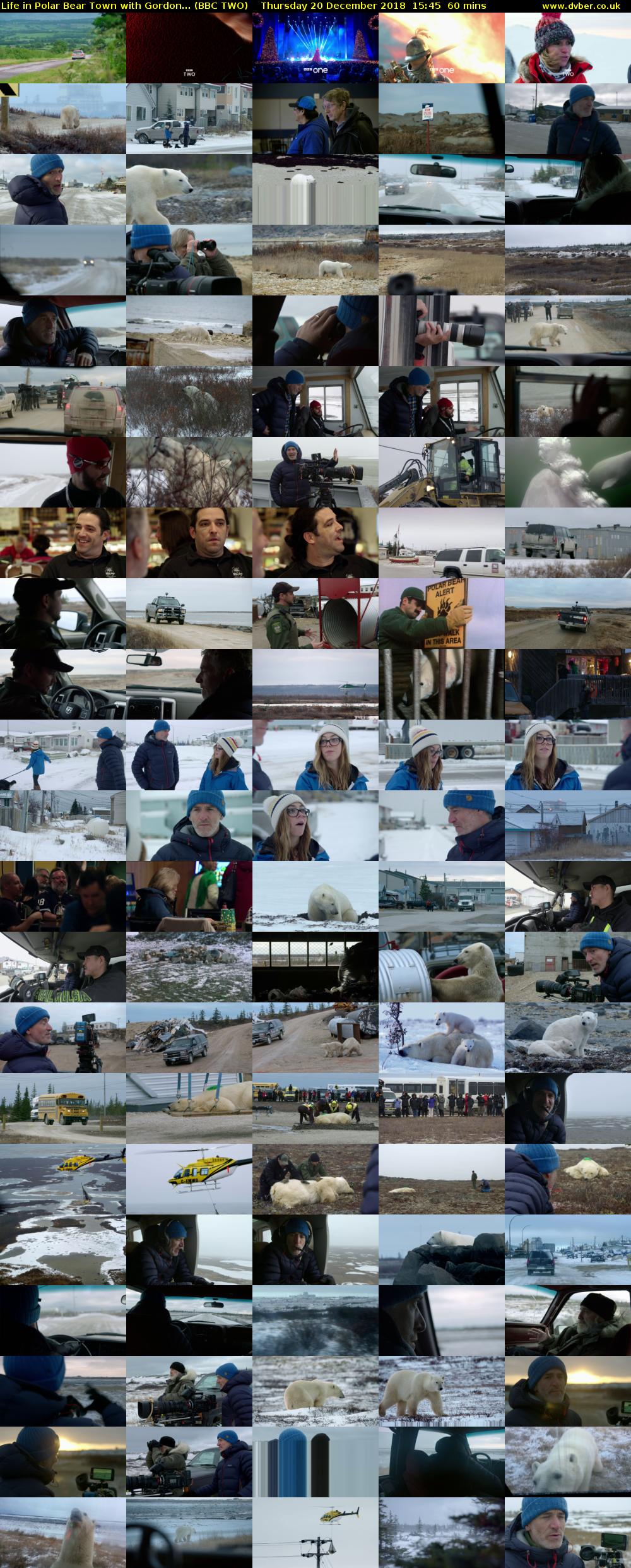 Life in Polar Bear Town with Gordon... (BBC TWO) Thursday 20 December 2018 15:45 - 16:45