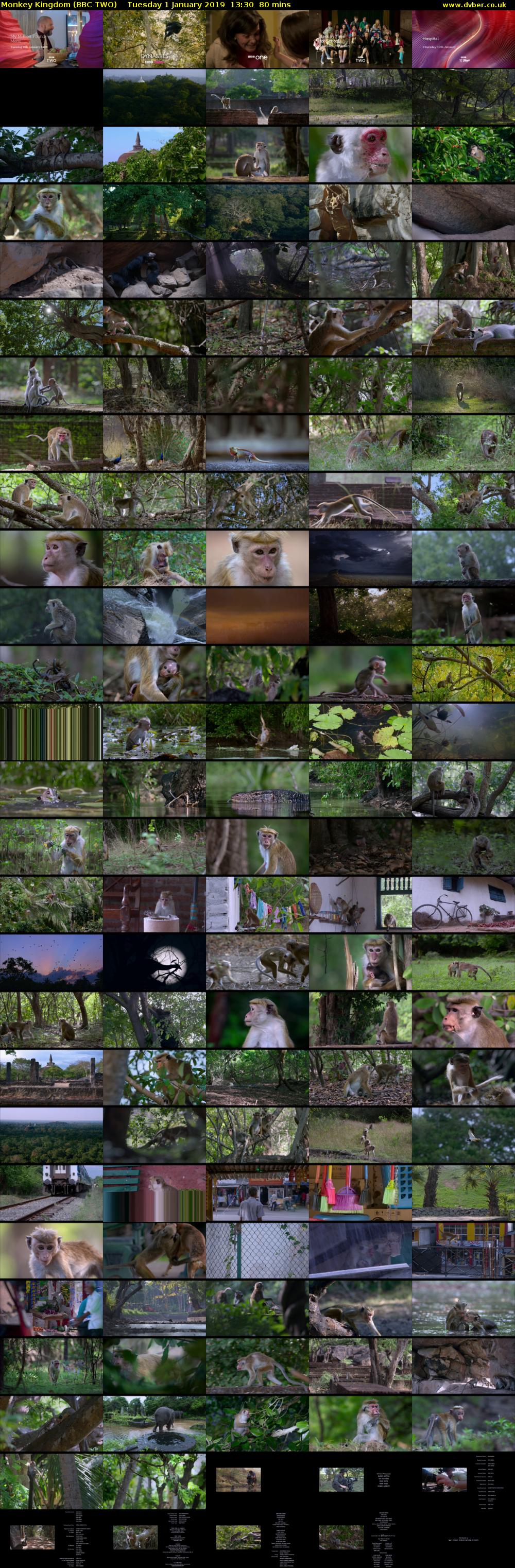 Monkey Kingdom (BBC TWO) Tuesday 1 January 2019 13:30 - 14:50