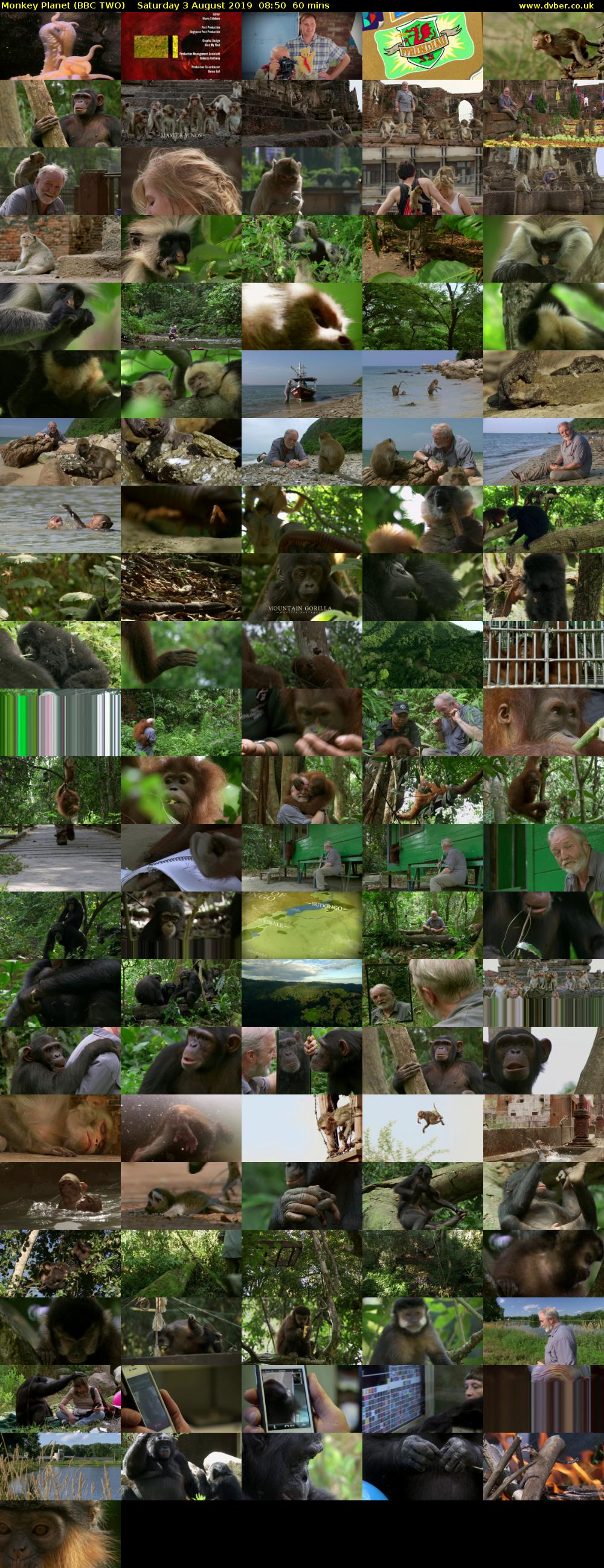 Monkey Planet (BBC TWO) Saturday 3 August 2019 08:50 - 09:50