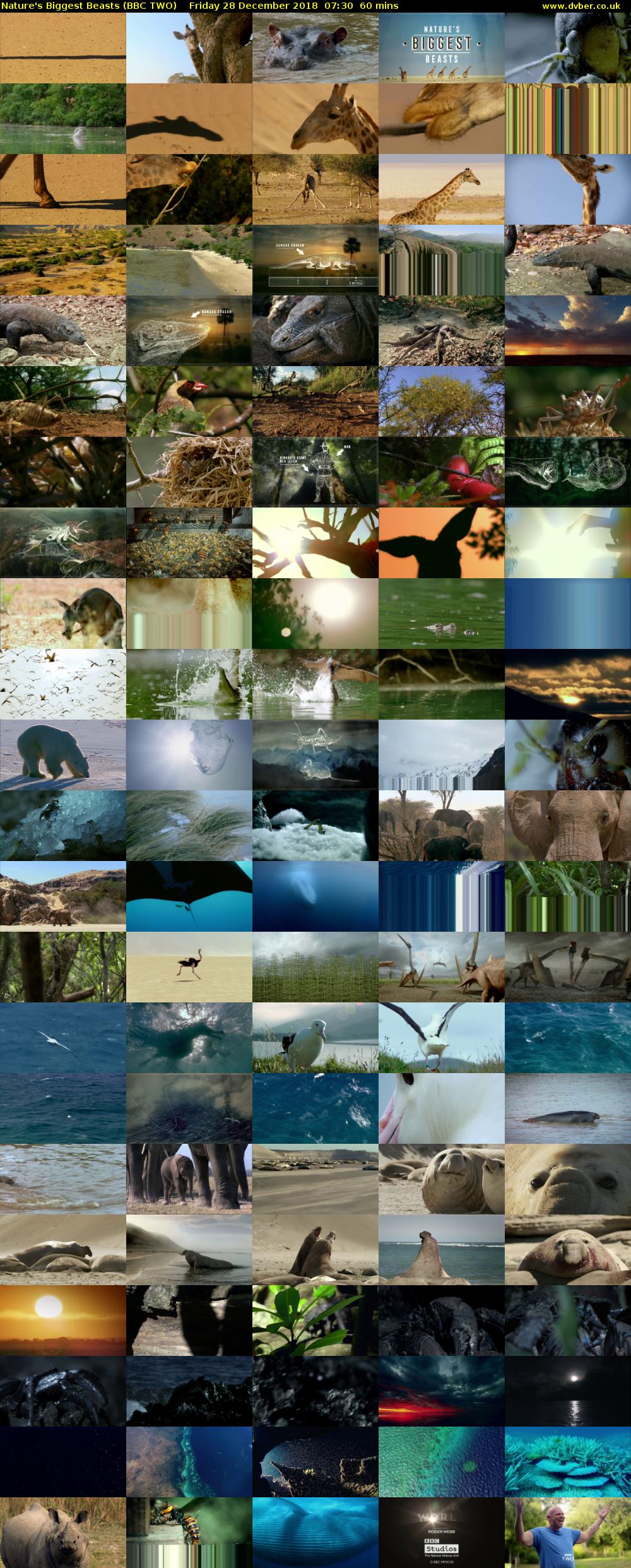 Nature's Biggest Beasts (BBC TWO) Friday 28 December 2018 07:30 - 08:30