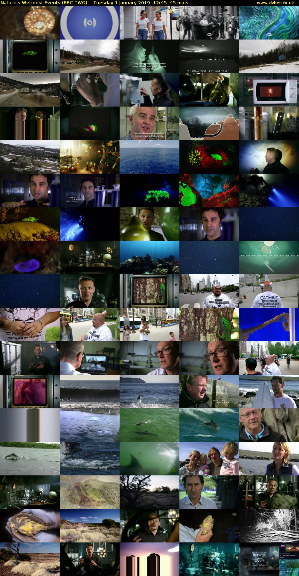 Nature's Weirdest Events (BBC TWO) Tuesday 1 January 2019 12:45 - 13:30