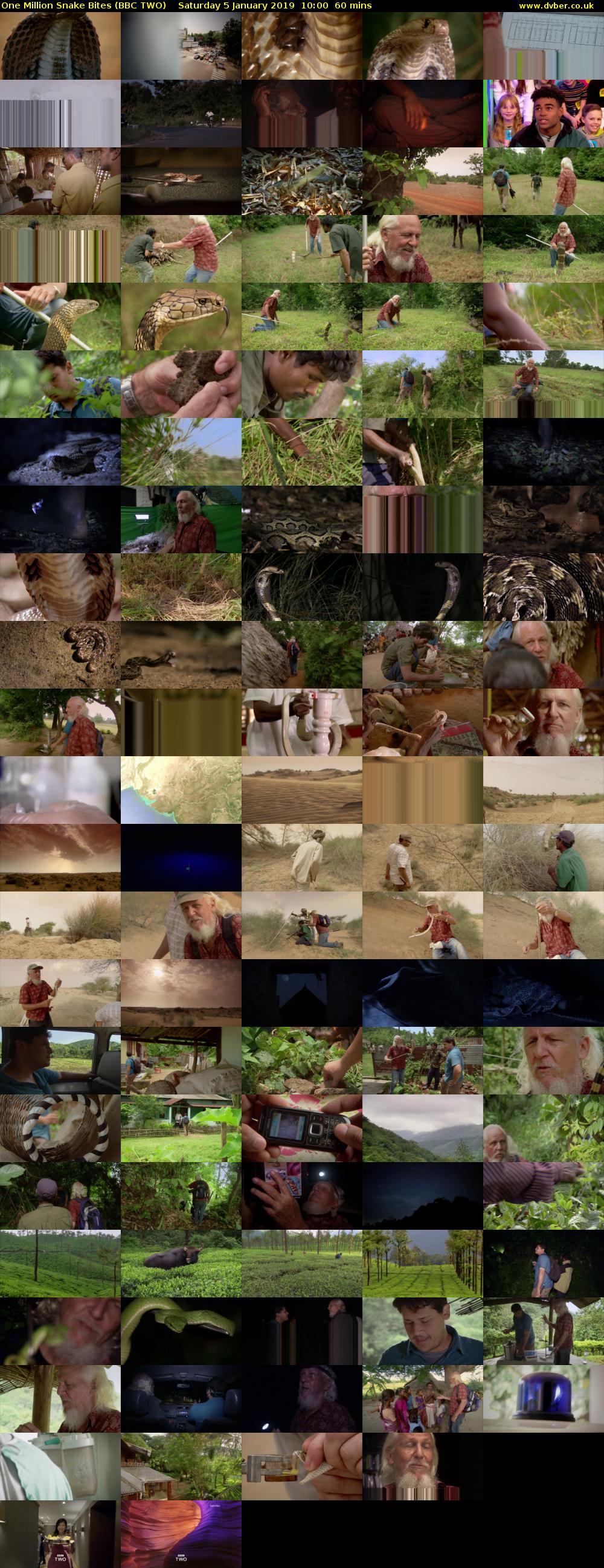 One Million Snake Bites (BBC TWO) Saturday 5 January 2019 10:00 - 11:00