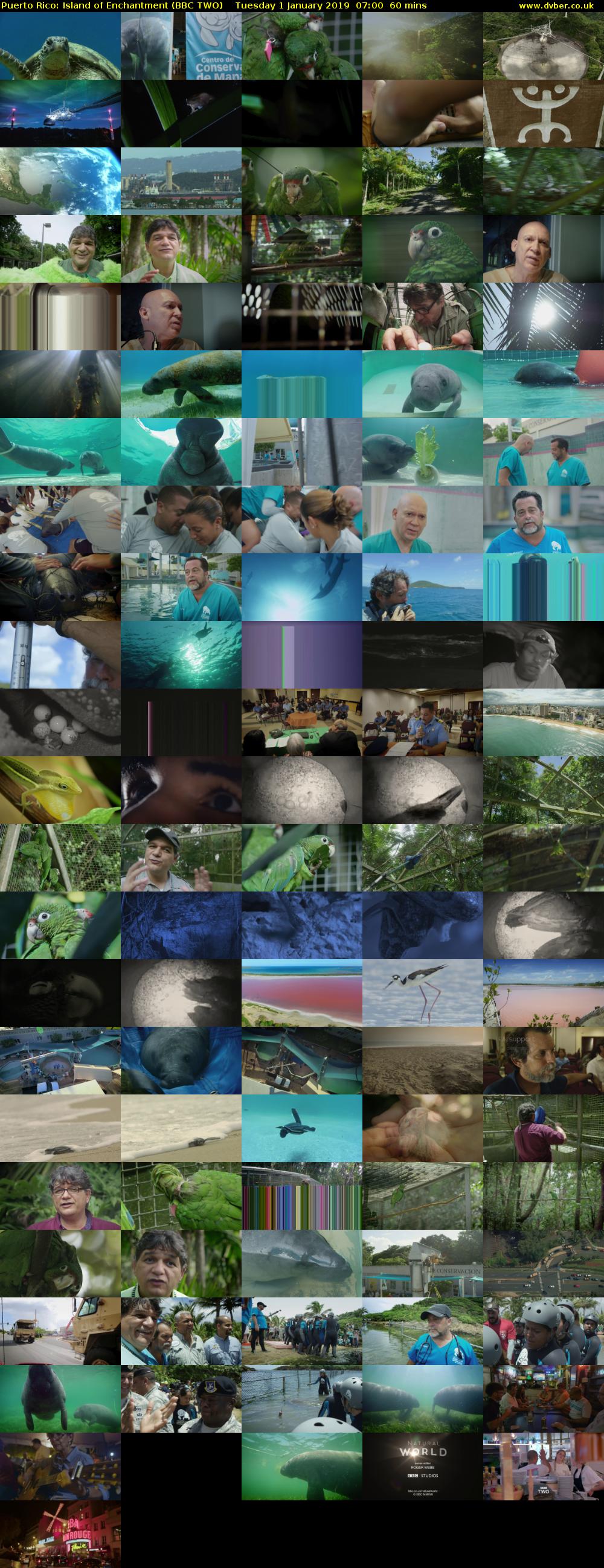 Puerto Rico: Island of Enchantment (BBC TWO) Tuesday 1 January 2019 07:00 - 08:00