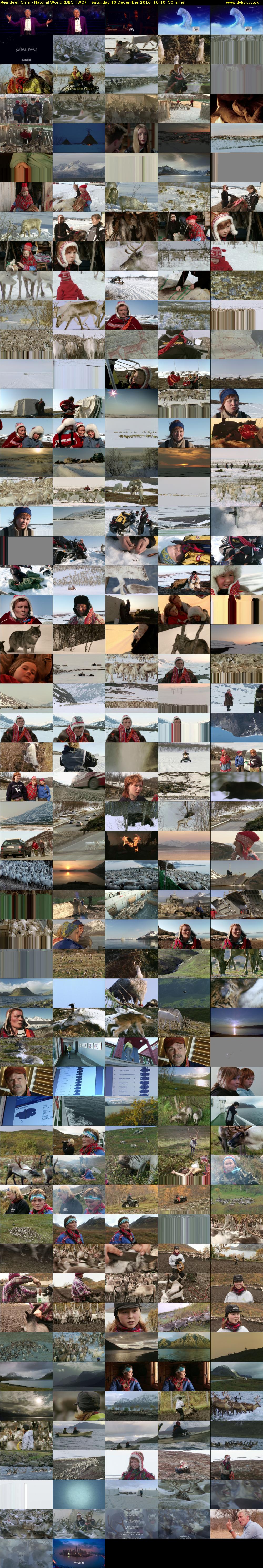 Reindeer Girls - Natural World (BBC TWO) Saturday 10 December 2016 16:10 - 17:00