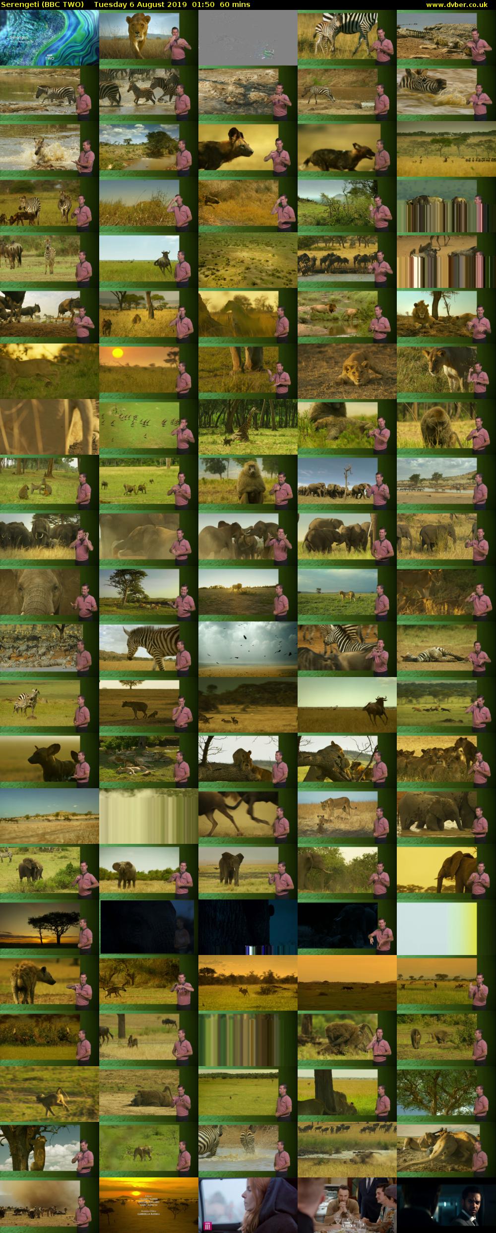 Serengeti (BBC TWO) Tuesday 6 August 2019 01:50 - 02:50