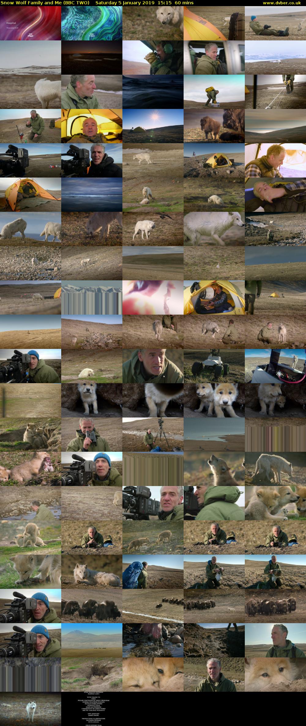 Snow Wolf Family and Me (BBC TWO) Saturday 5 January 2019 15:15 - 16:15