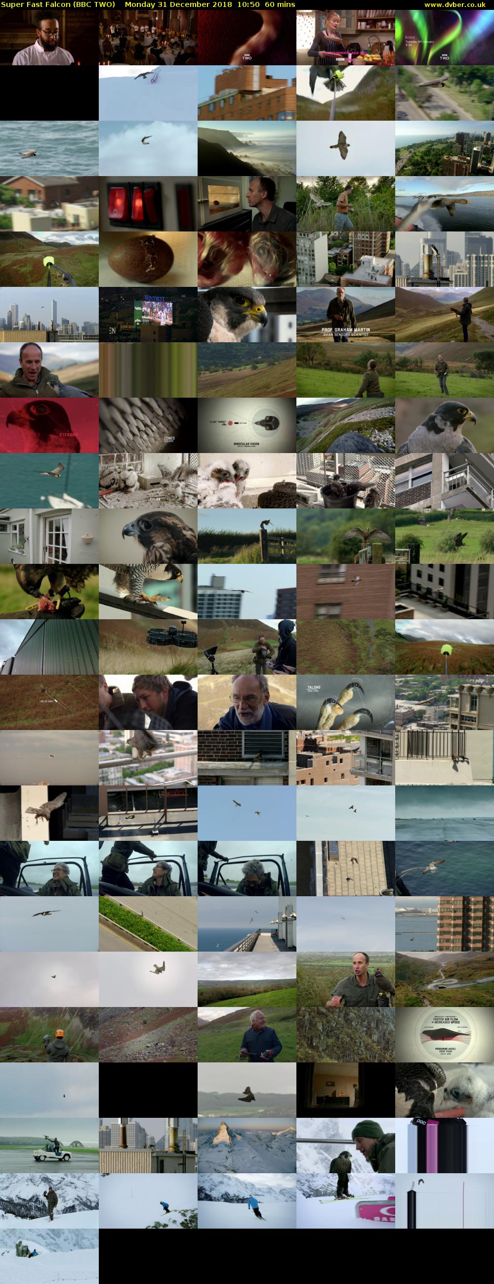 Super Fast Falcon (BBC TWO) Monday 31 December 2018 10:50 - 11:50