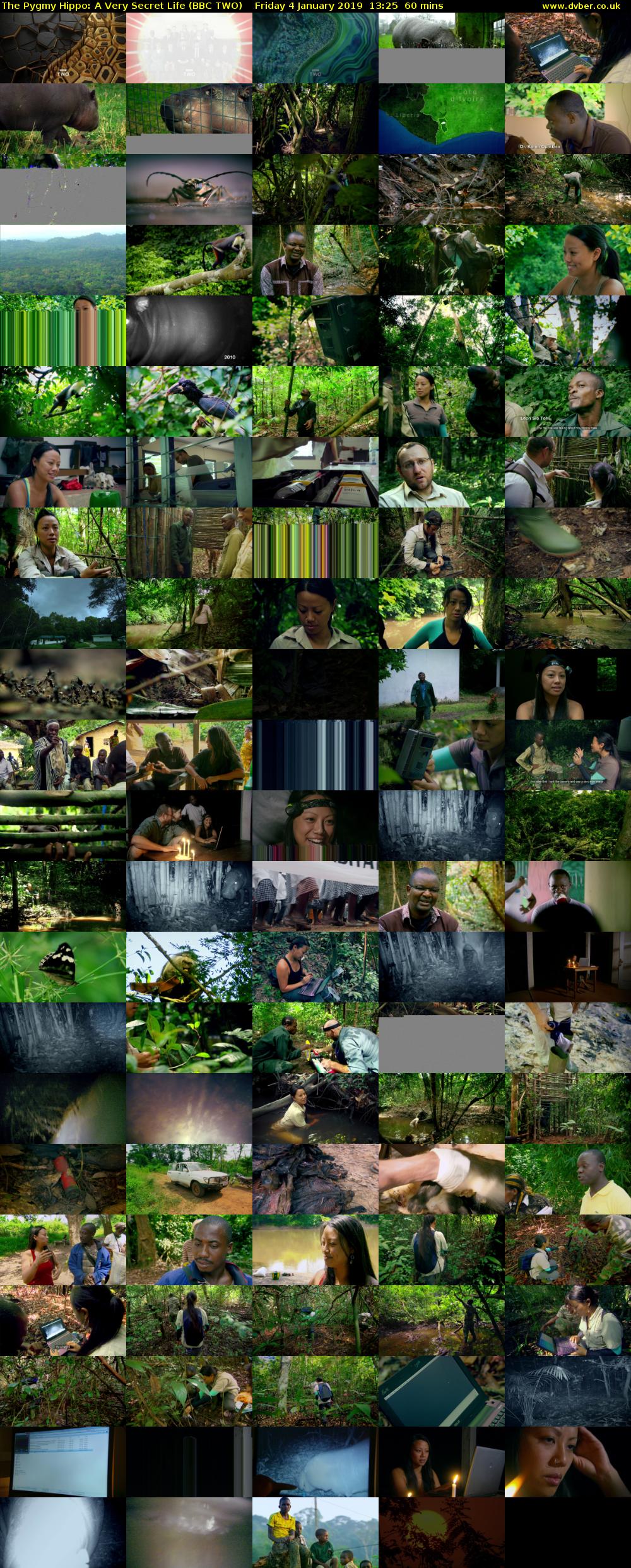 The Pygmy Hippo: A Very Secret Life (BBC TWO) Friday 4 January 2019 13:25 - 14:25