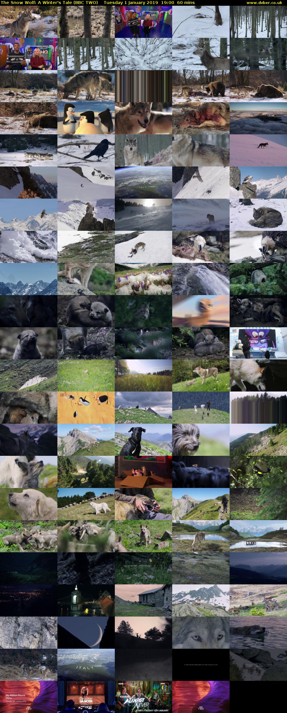 The Snow Wolf: A Winter's Tale (BBC TWO) Tuesday 1 January 2019 19:00 - 20:00