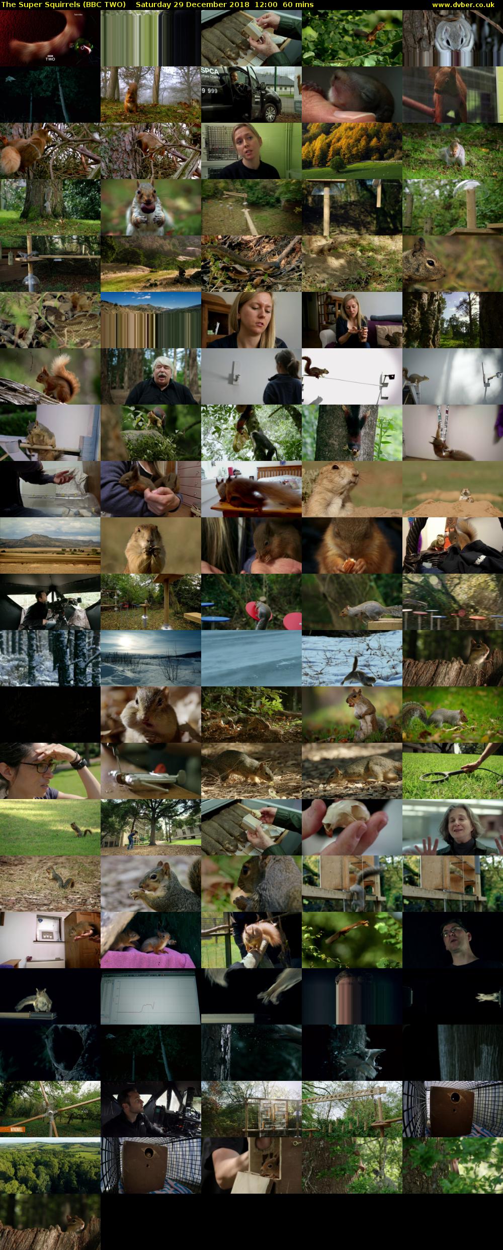 The Super Squirrels (BBC TWO) Saturday 29 December 2018 12:00 - 13:00