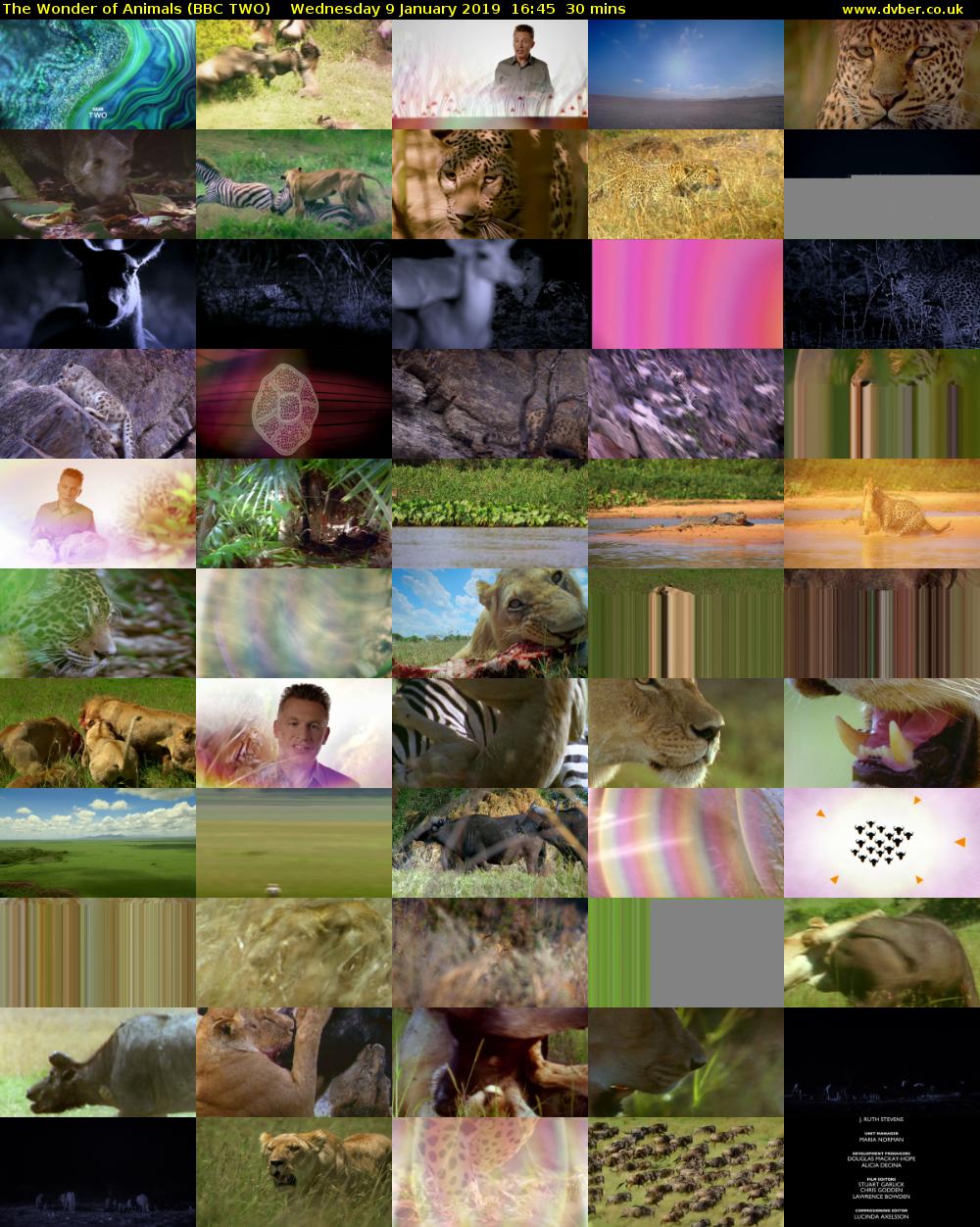 The Wonder of Animals (BBC TWO) Wednesday 9 January 2019 16:45 - 17:15