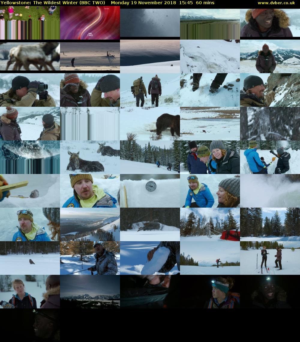 Yellowstone: The Wildest Winter (BBC TWO) Monday 19 November 2018 15:45 - 16:45