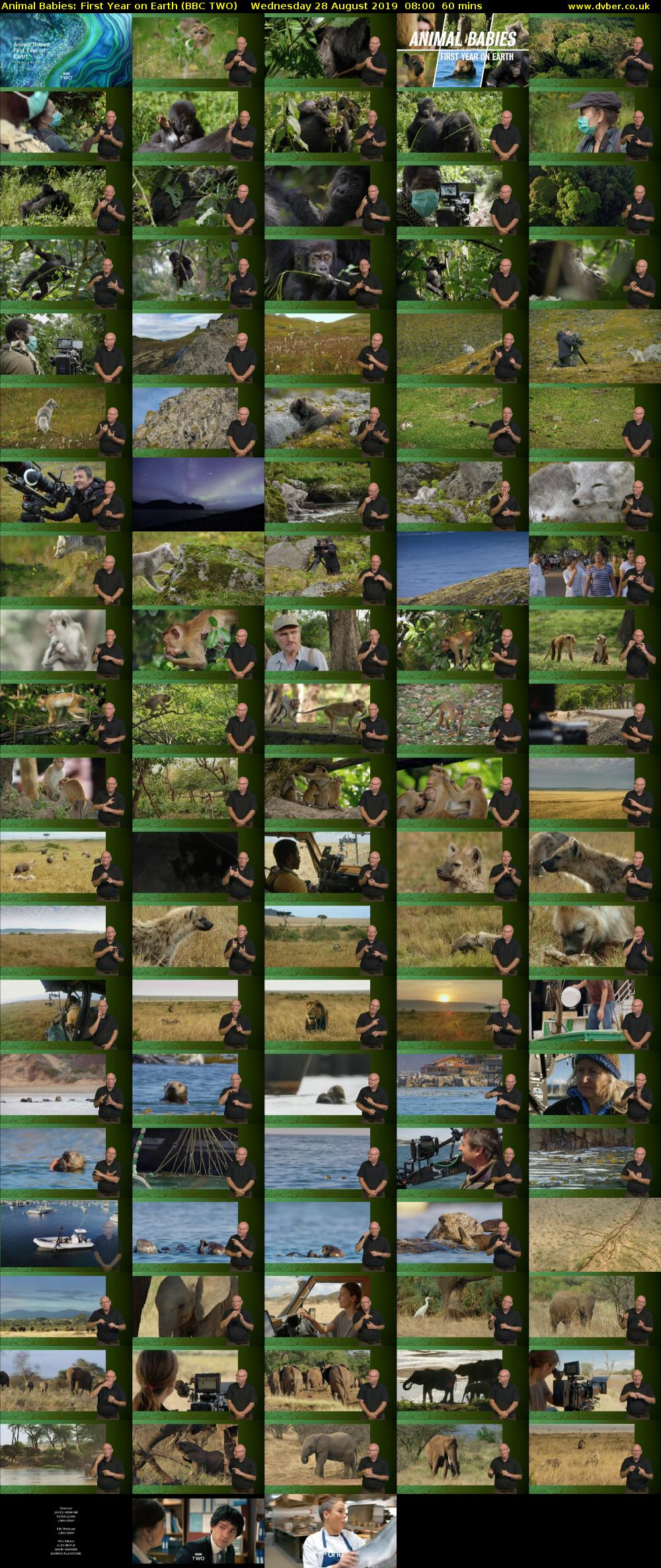 Animal Babies: First Year On Earth (BBC TWO) Wednesday 28 August 2019 08:00 - 09:00
