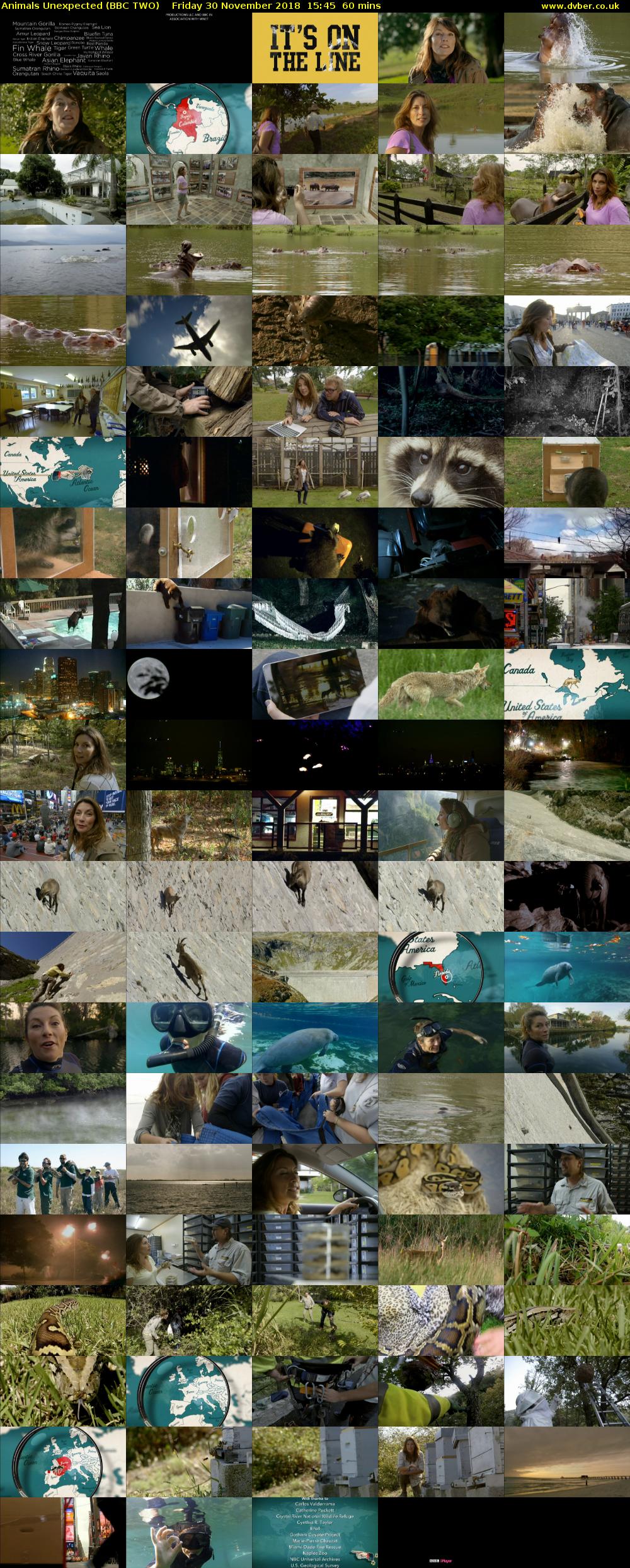 Animals Unexpected (BBC TWO) Friday 30 November 2018 15:45 - 16:45