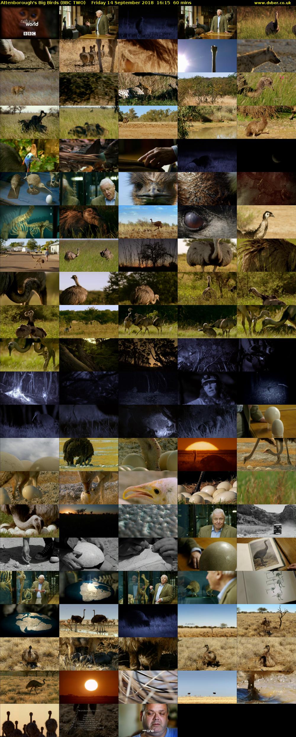 Attenborough's Big Birds (BBC TWO) Friday 14 September 2018 16:15 - 17:15