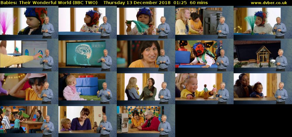 Babies: Their Wonderful World (BBC TWO) Thursday 13 December 2018 01:25 - 02:25