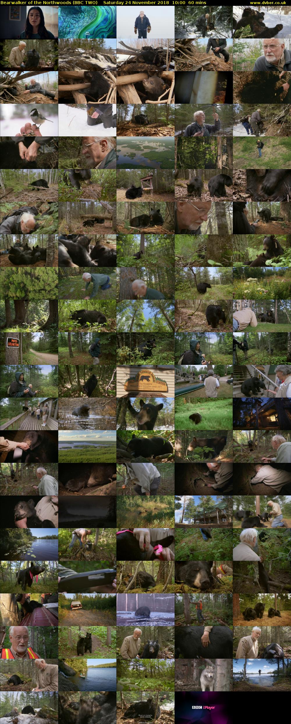 Bearwalker of the Northwoods (BBC TWO) Saturday 24 November 2018 10:00 - 11:00