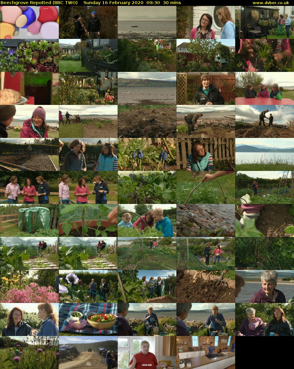 Beechgrove Repotted (BBC TWO) Sunday 16 February 2020 09:30 - 10:00