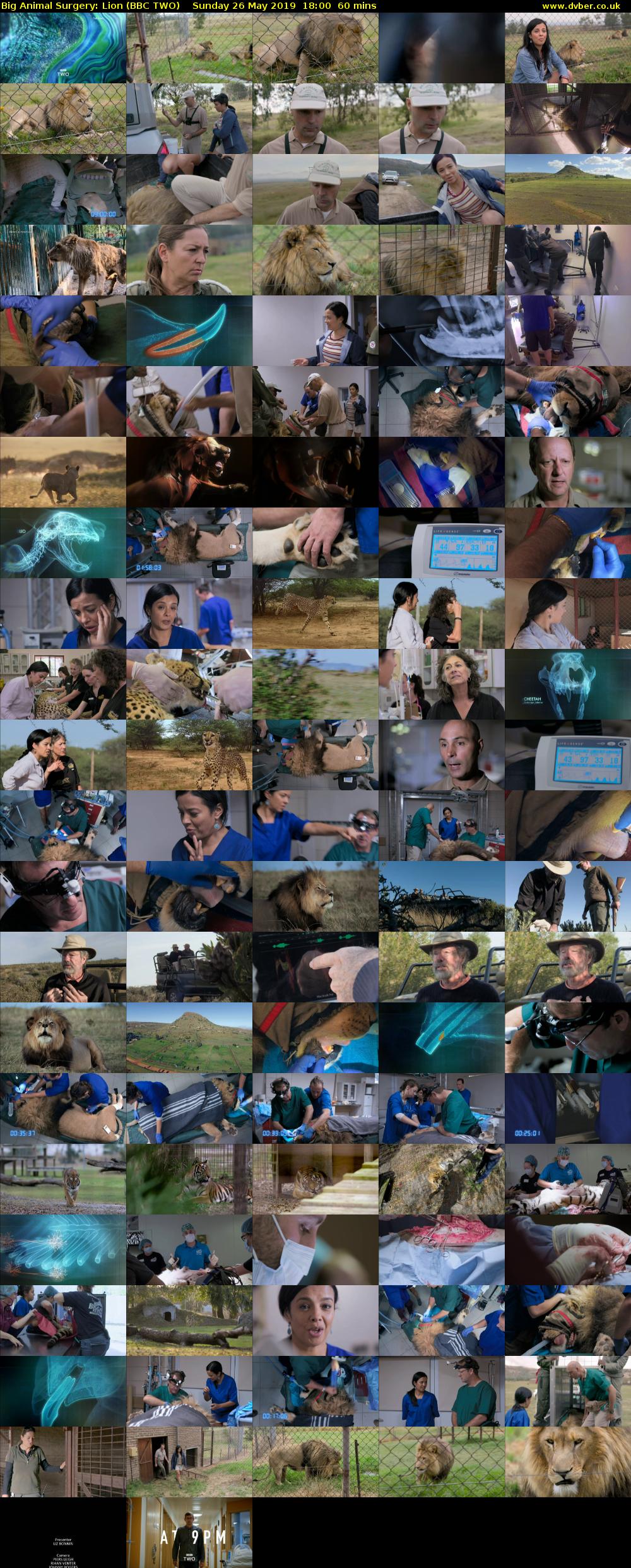 Big Animal Surgery: Lion (BBC TWO) Sunday 26 May 2019 18:00 - 19:00