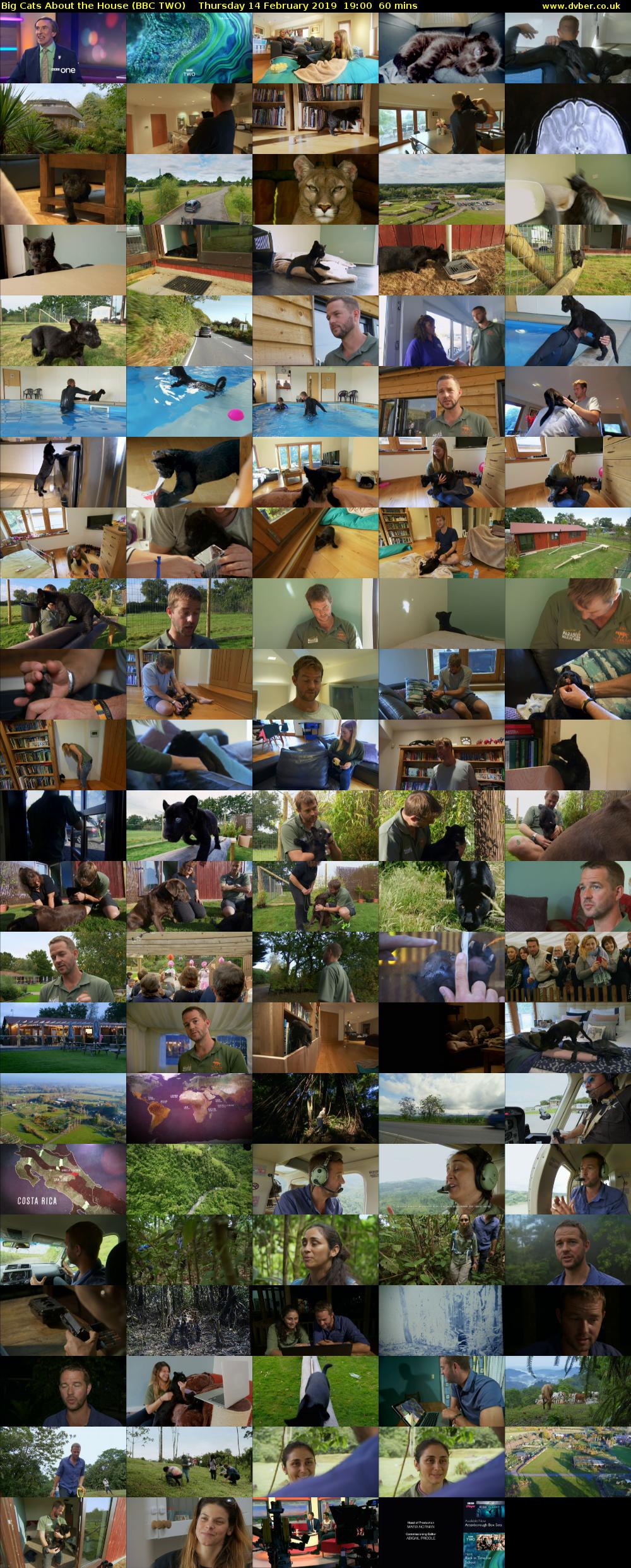 Big Cats About the House (BBC TWO) Thursday 14 February 2019 19:00 - 20:00