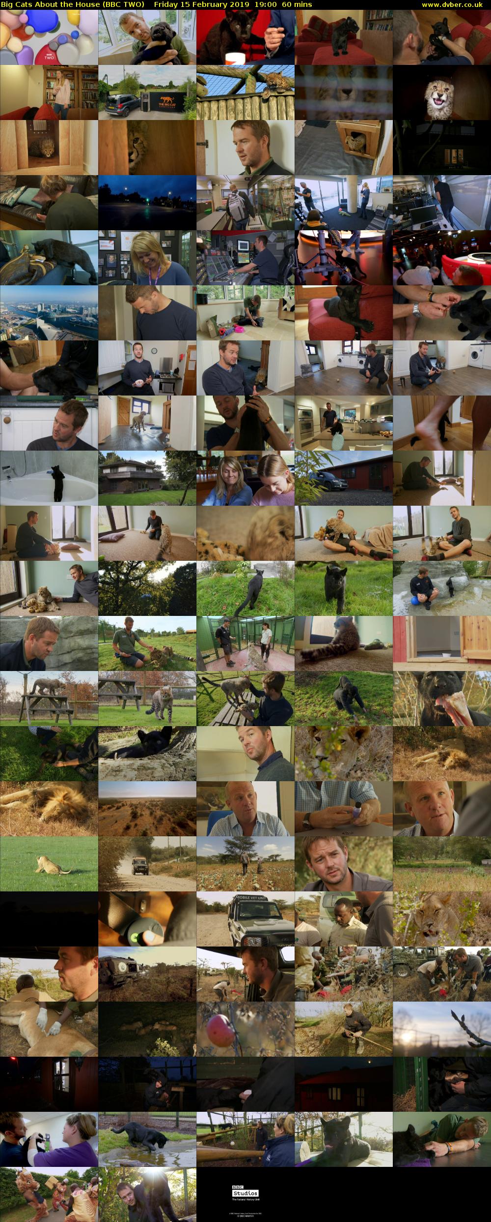 Big Cats About the House (BBC TWO) Friday 15 February 2019 19:00 - 20:00