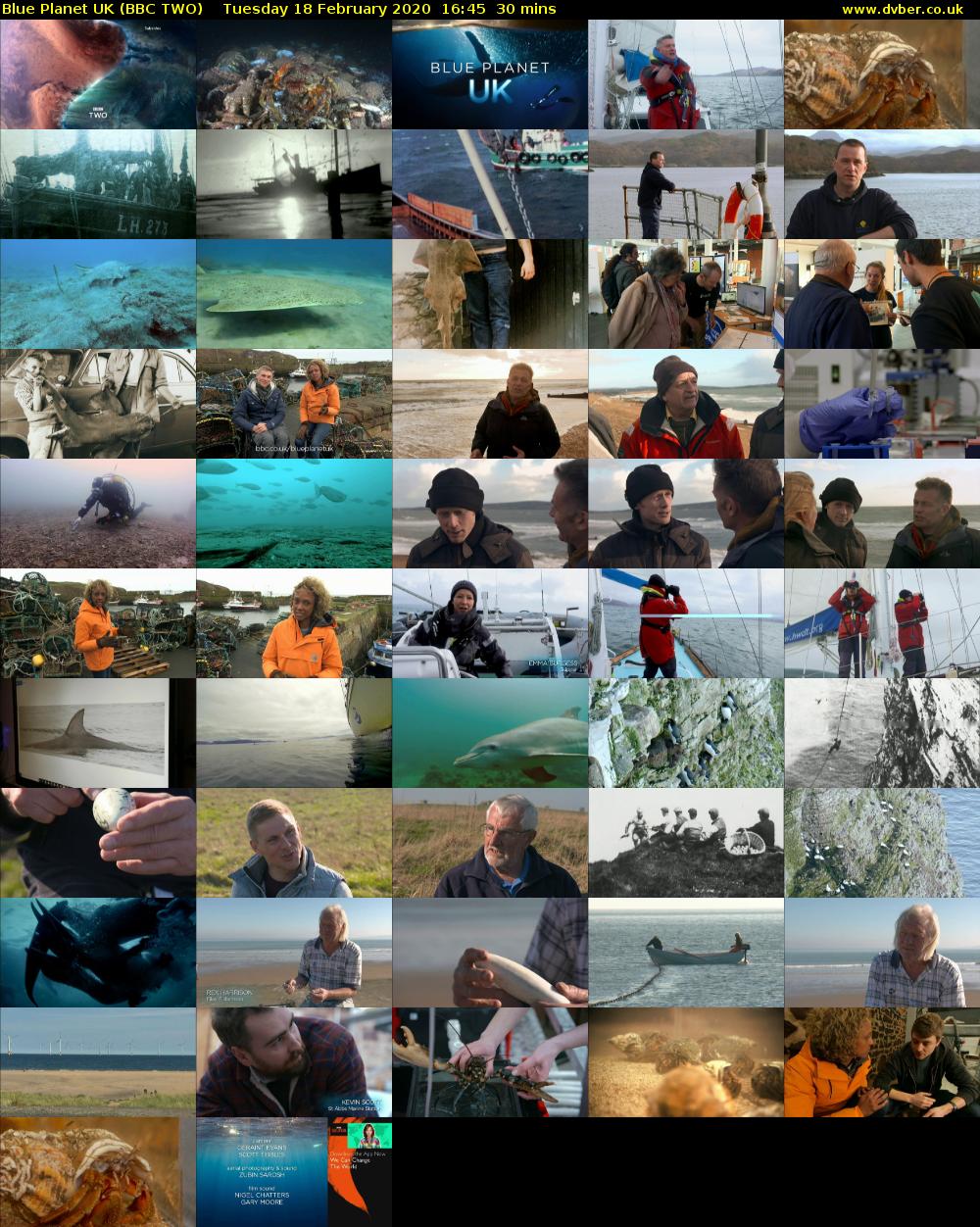 Blue Planet UK (BBC TWO) Tuesday 18 February 2020 16:45 - 17:15