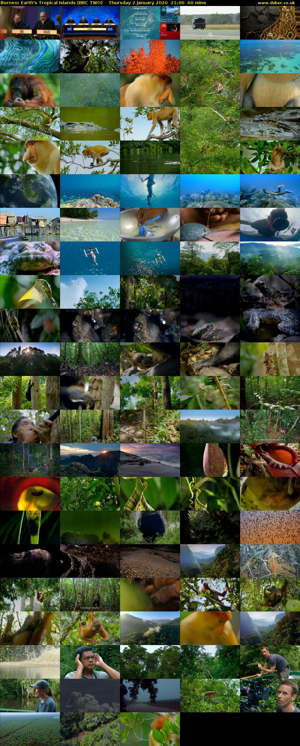 Borneo: Earth's Tropical Islands (BBC TWO) Thursday 2 January 2020 21:00 - 22:00