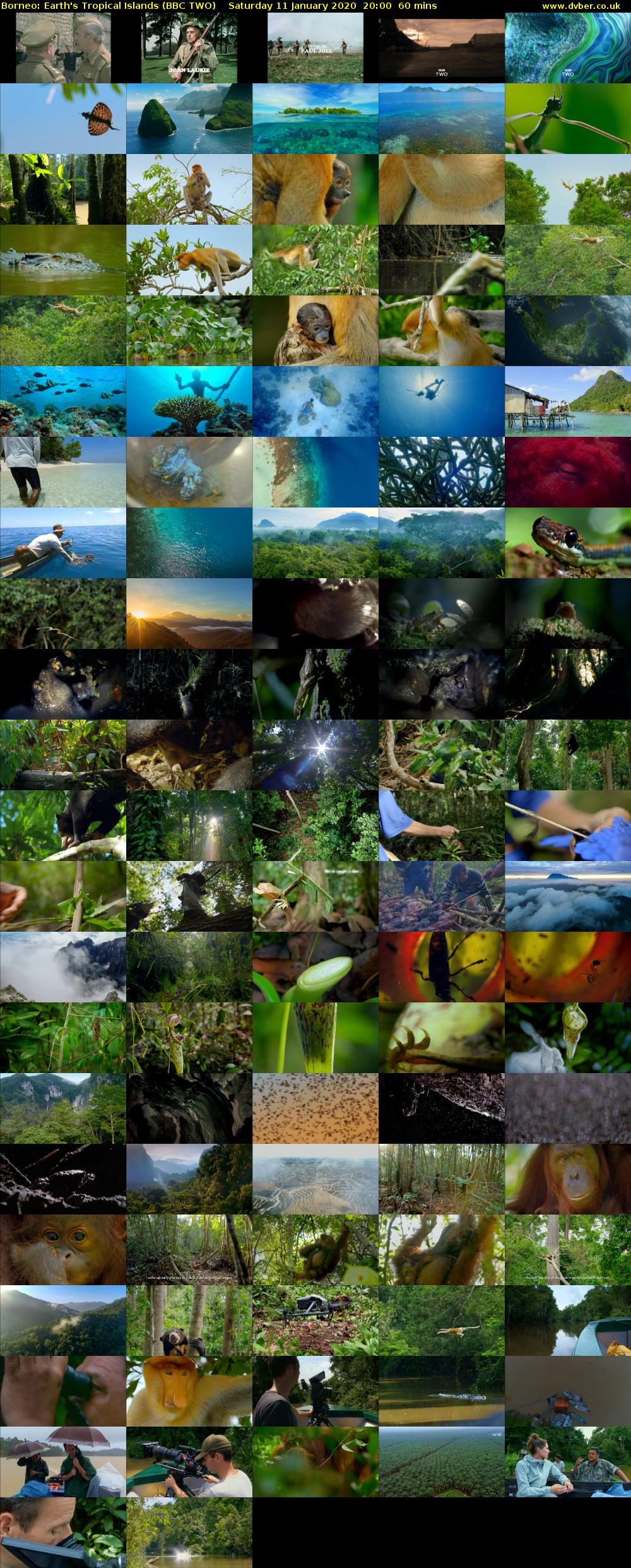 Borneo: Earth's Tropical Islands (BBC TWO) Saturday 11 January 2020 20:00 - 21:00