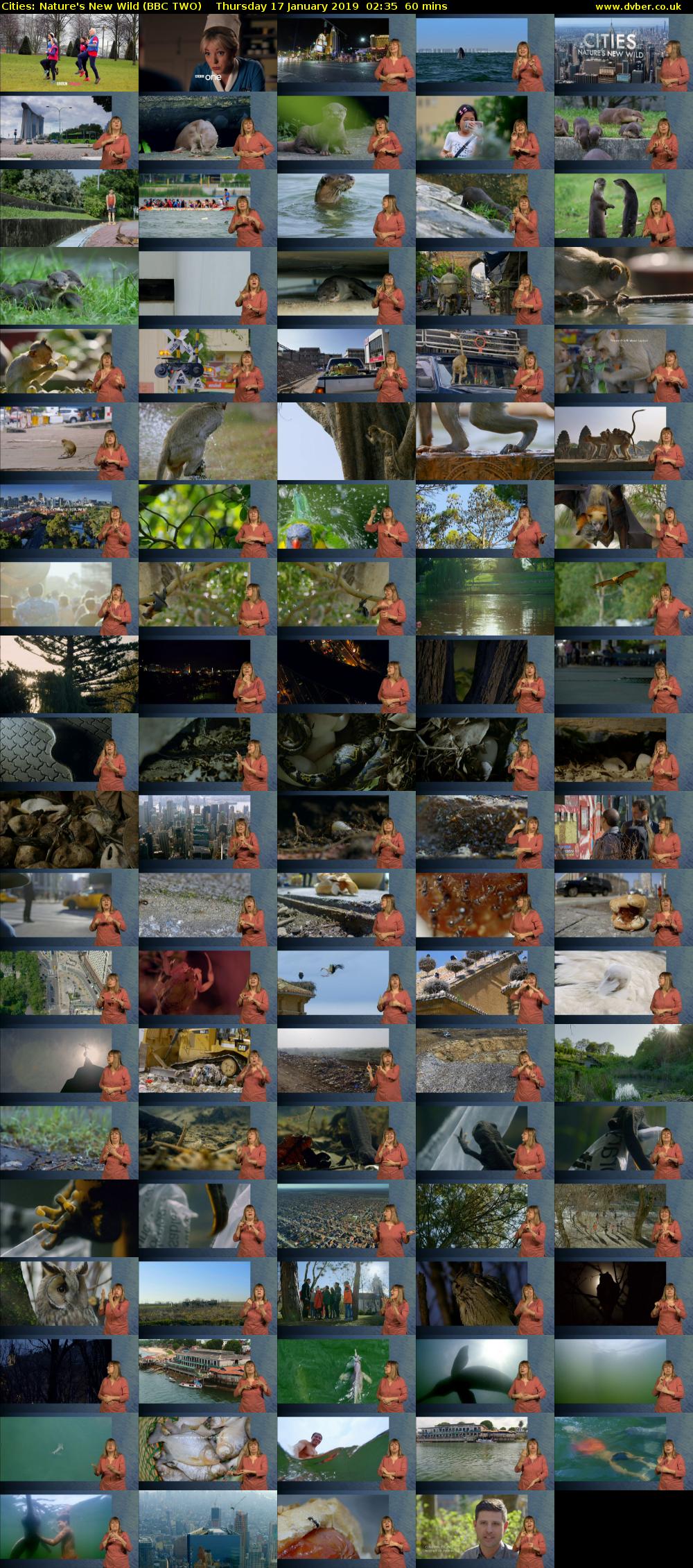 Cities: Nature's New Wild (BBC TWO) Thursday 17 January 2019 02:35 - 03:35