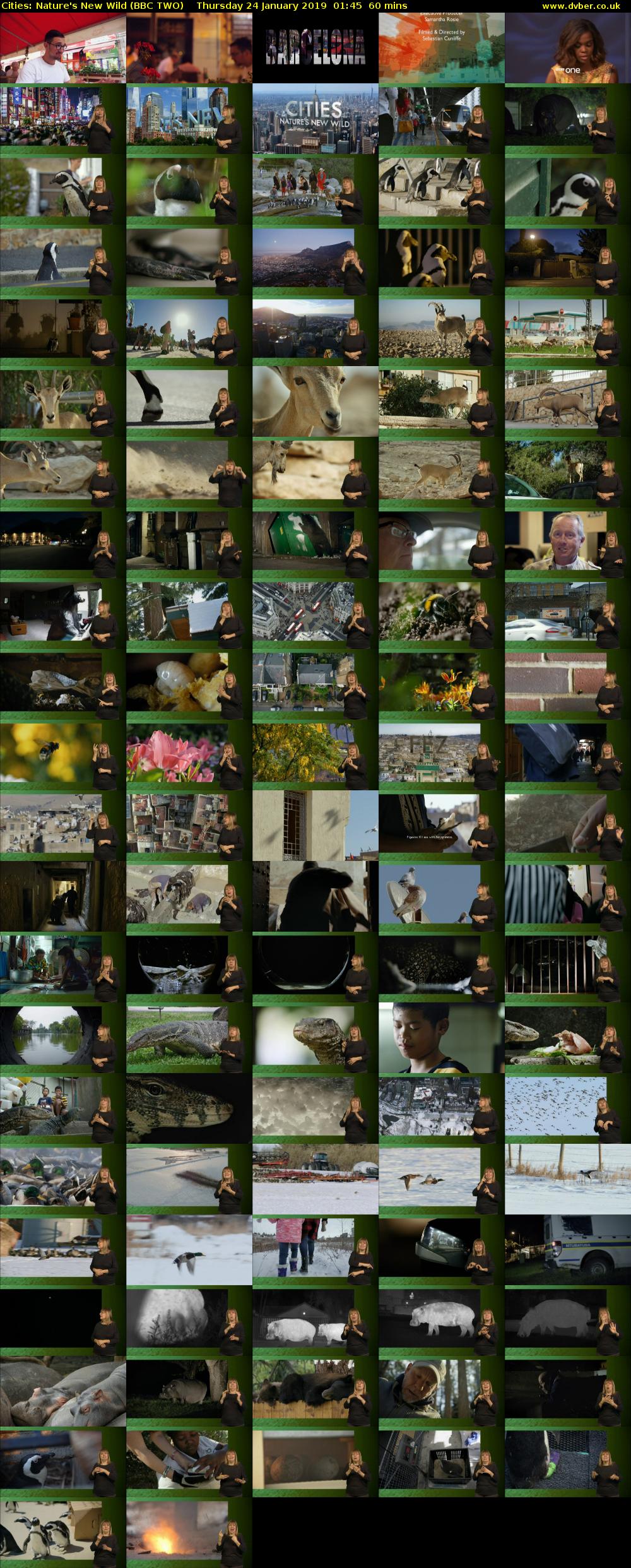 Cities: Nature's New Wild (BBC TWO) Thursday 24 January 2019 01:45 - 02:45