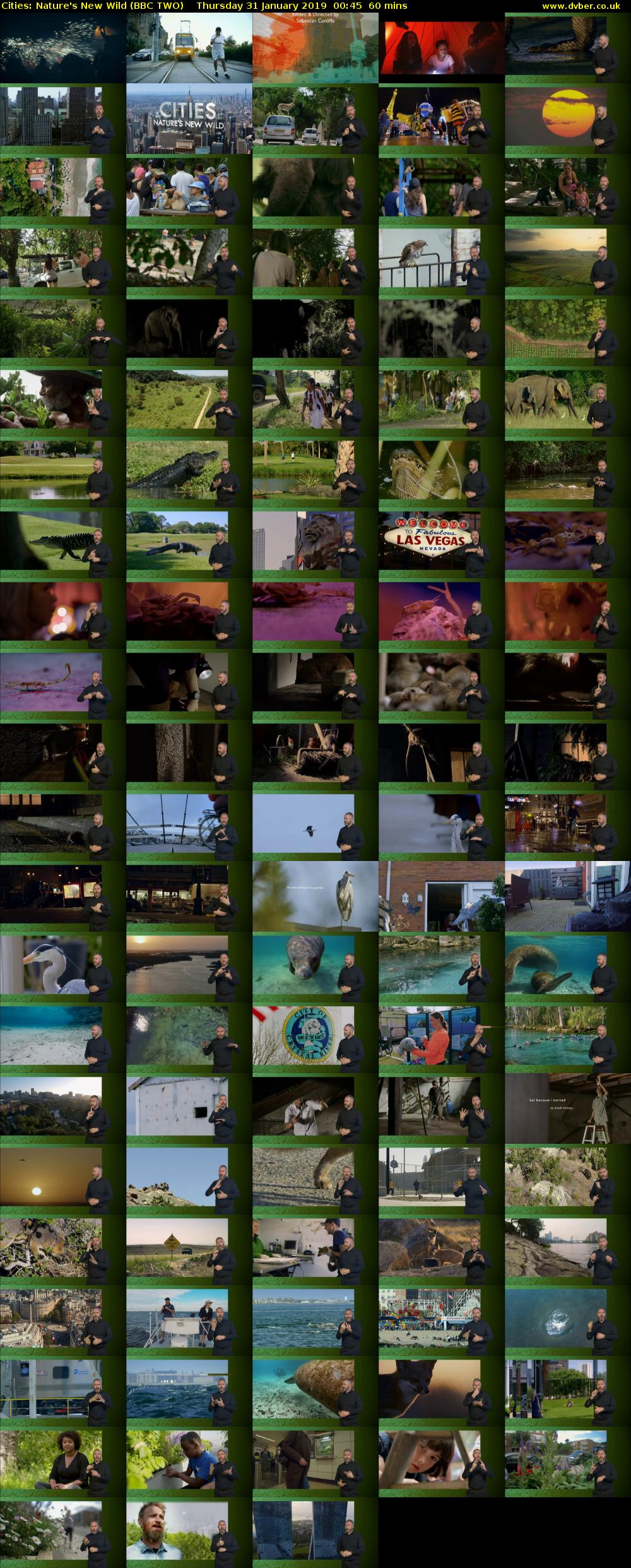 Cities: Nature's New Wild (BBC TWO) Thursday 31 January 2019 00:45 - 01:45