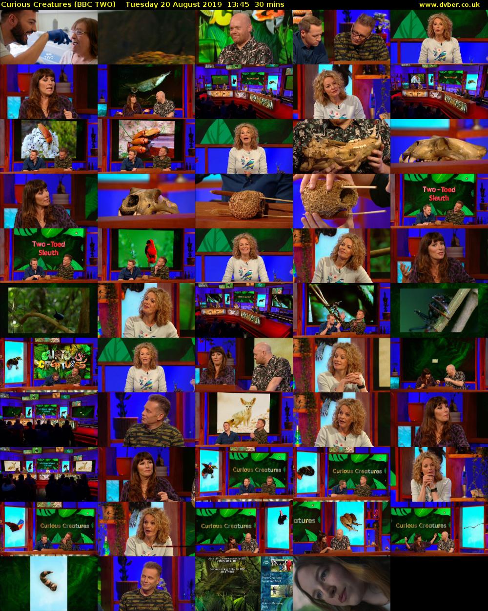 Curious Creatures (BBC TWO) Tuesday 20 August 2019 13:45 - 14:15