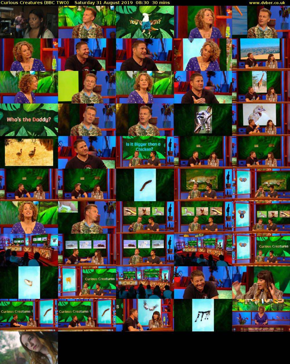 Curious Creatures (BBC TWO) Saturday 31 August 2019 08:30 - 09:00