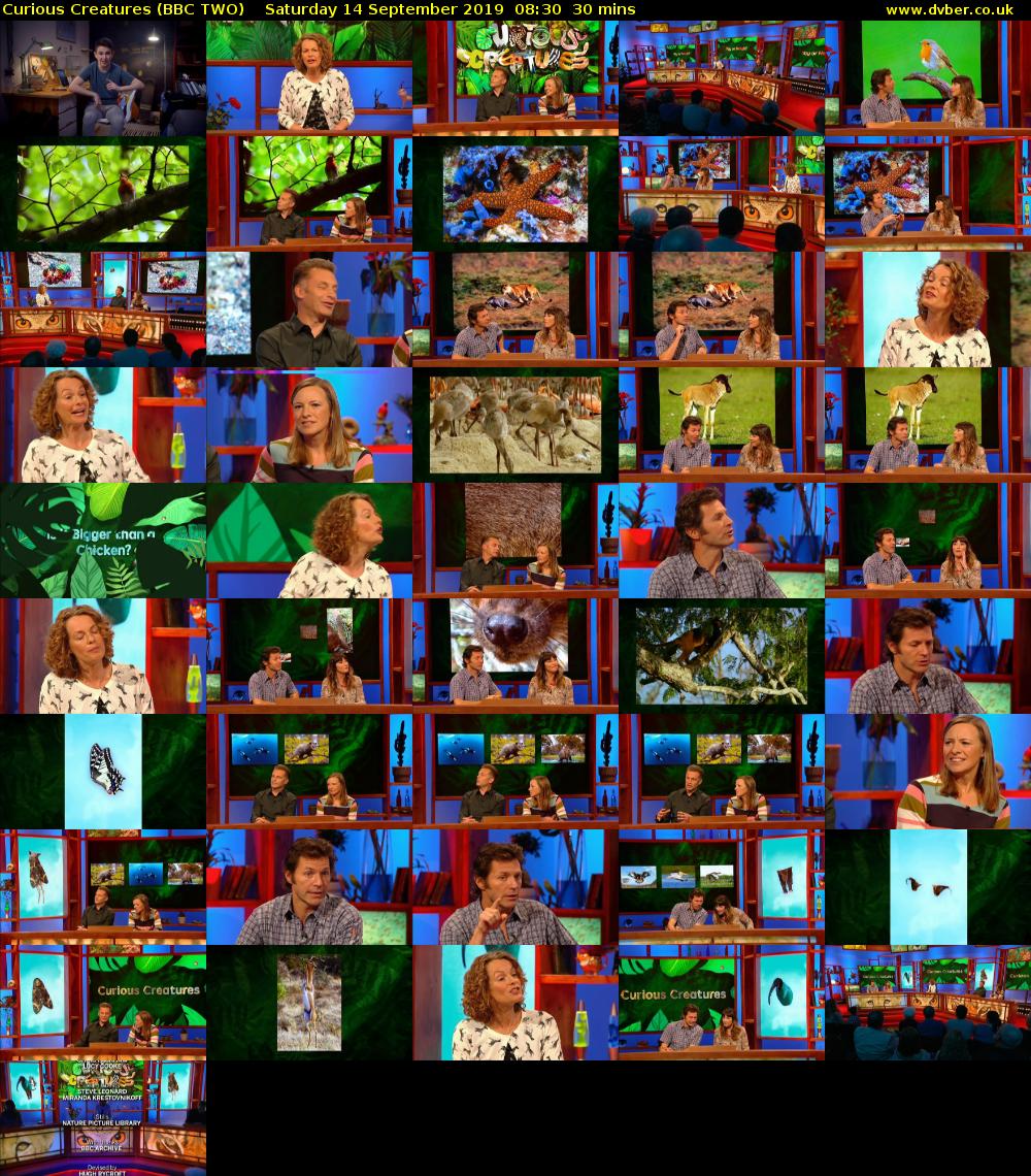 Curious Creatures (BBC TWO) Saturday 14 September 2019 08:30 - 09:00