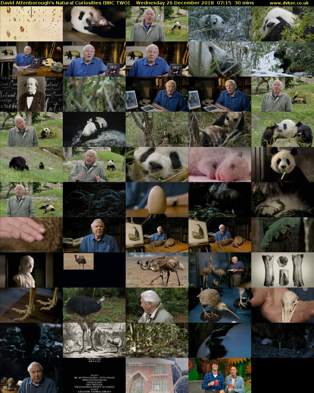 David Attenborough's Natural Curiosities (BBC TWO) Wednesday 26 December 2018 07:15 - 07:45