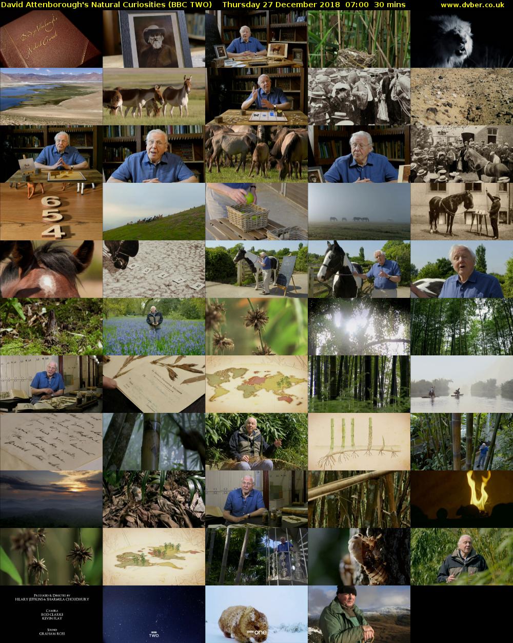 David Attenborough's Natural Curiosities (BBC TWO) Thursday 27 December 2018 07:00 - 07:30