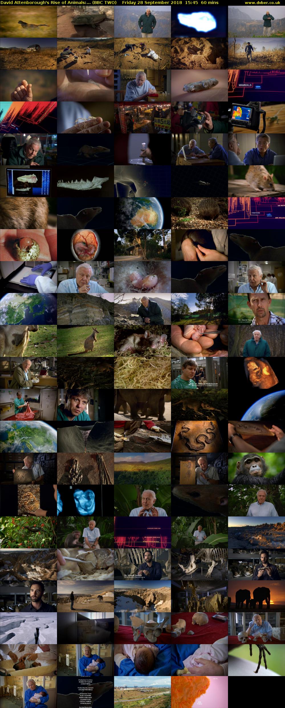 David Attenborough's Rise of Animals:... (BBC TWO) Friday 28 September 2018 15:45 - 16:45