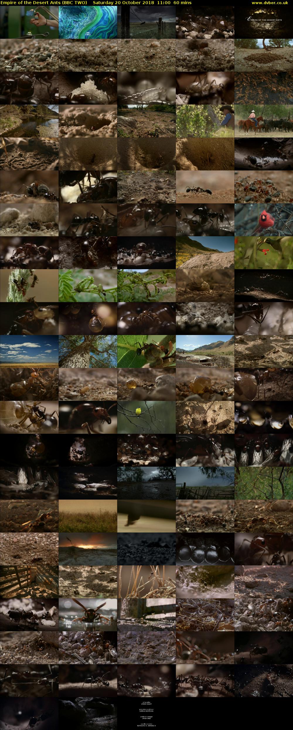 Empire of the Desert Ants (BBC TWO) Saturday 20 October 2018 11:00 - 12:00