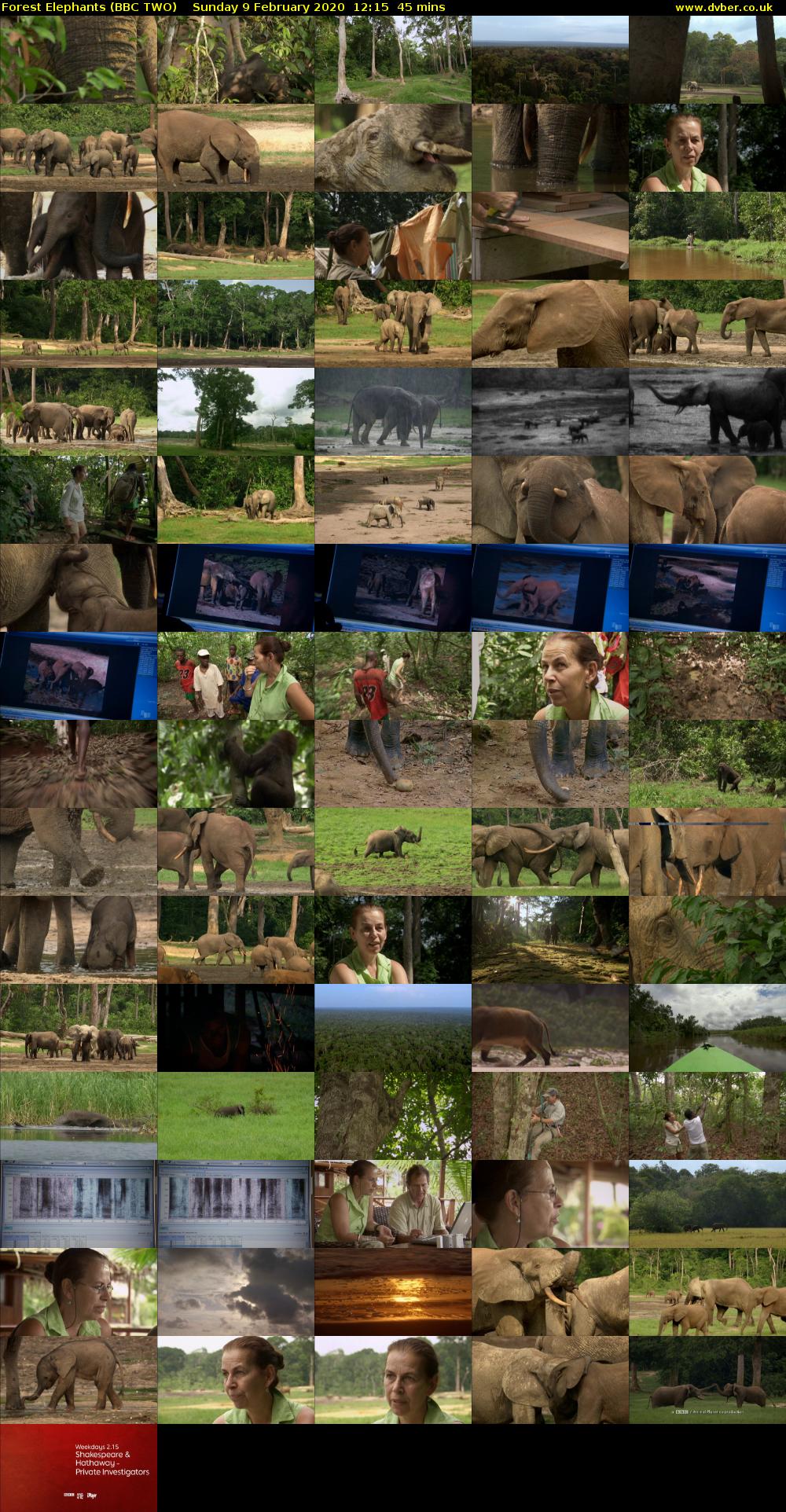 Forest Elephants (BBC TWO) Sunday 9 February 2020 12:15 - 13:00