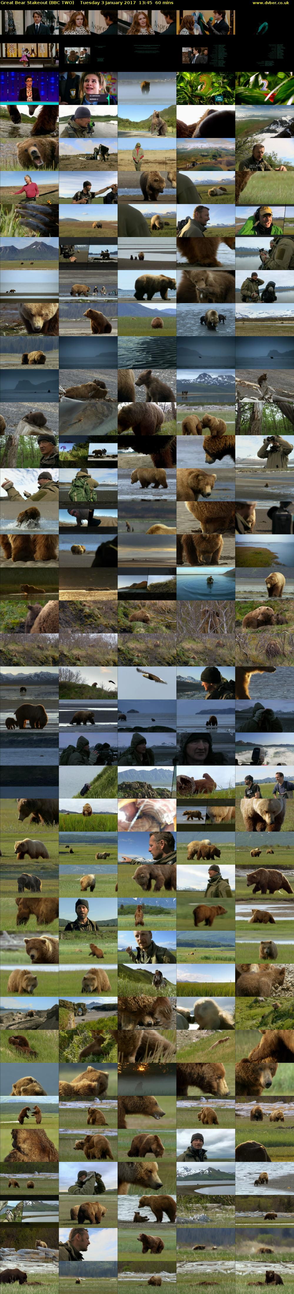 Great Bear Stakeout (BBC TWO) Tuesday 3 January 2017 13:45 - 14:45