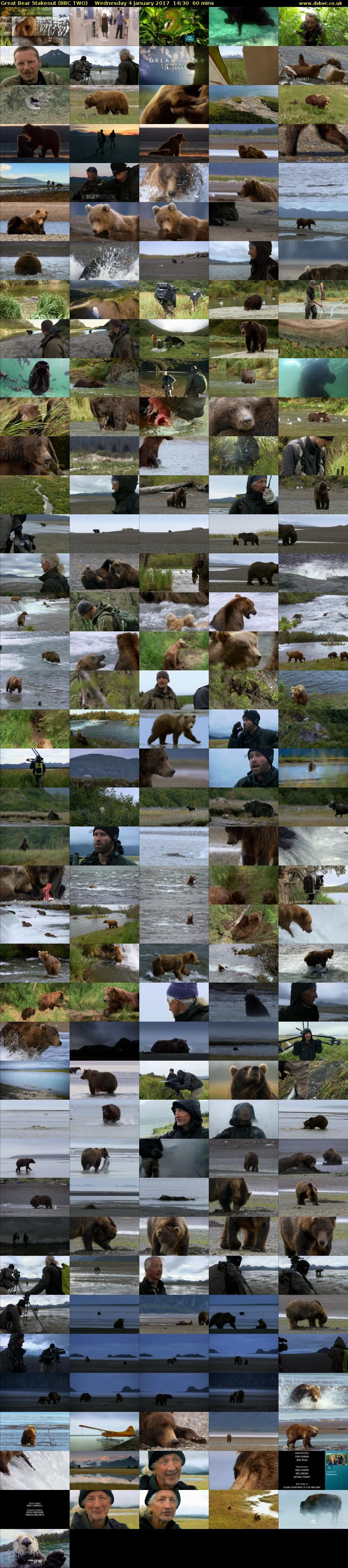 Great Bear Stakeout (BBC TWO) Wednesday 4 January 2017 14:30 - 15:30