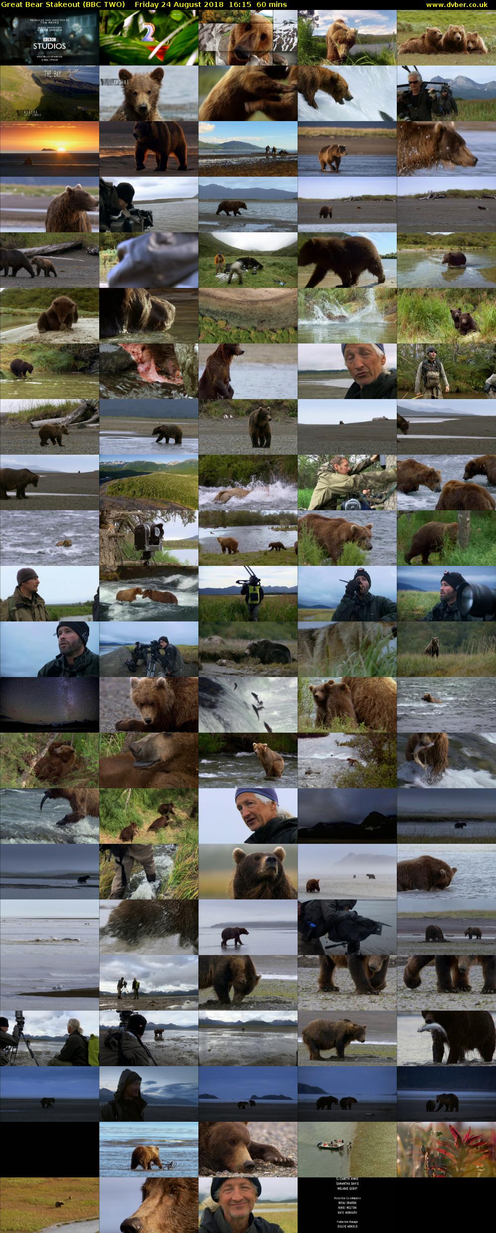 Great Bear Stakeout (BBC TWO) Friday 24 August 2018 16:15 - 17:15