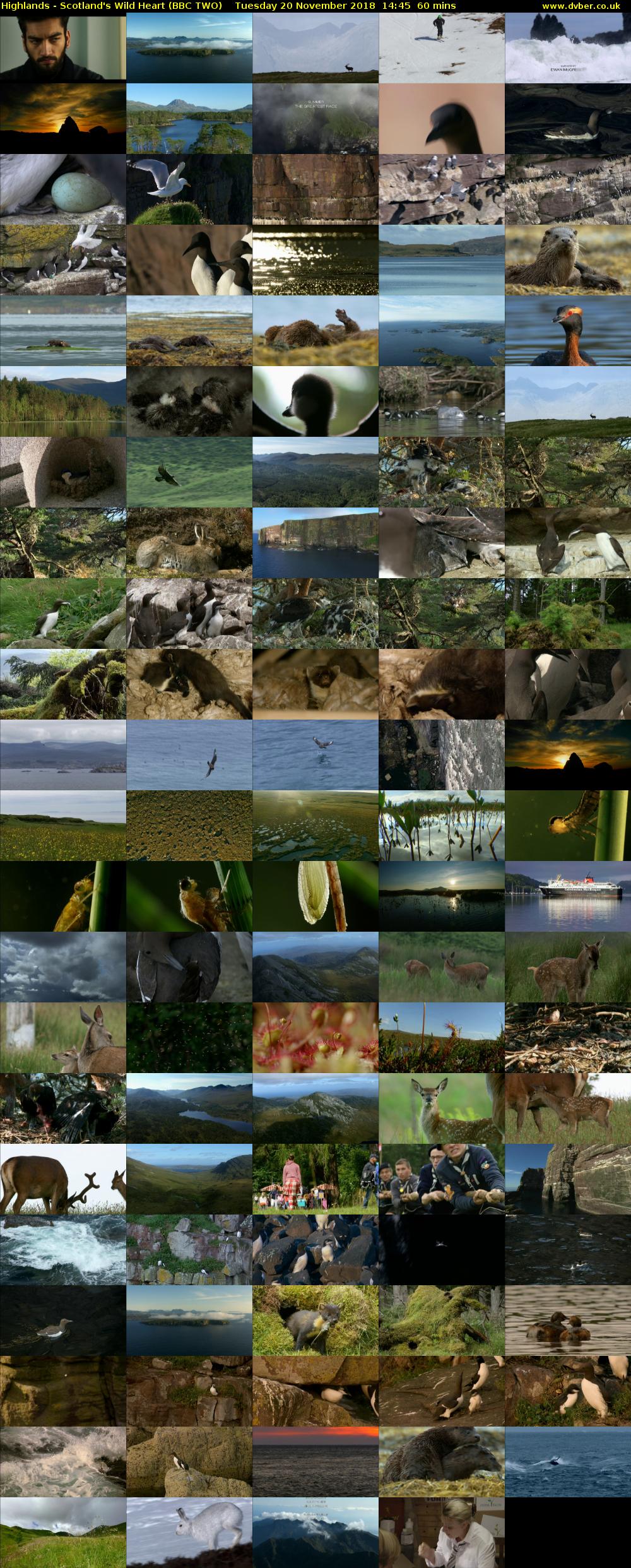 Highlands - Scotland's Wild Heart (BBC TWO) Tuesday 20 November 2018 14:45 - 15:45